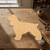 Cocker Spaniel Wood Cutout - Unfinished Baltic Birch Craft Shape