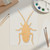 Cockroach Wood Cutout - Unfinished Baltic Birch Craft Shape