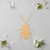 Cockroach Wood Cutout - Unfinished Baltic Birch Craft Shape