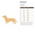Dachshund Wood Cutout for Crafts, Unfinished Baltic Birch Craft Shape