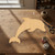 Dolphin Wood Cutout - Unfinished Baltic Birch Craft Shape
