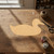 Duck Wood Cutout Craft Blank, Unfinished Baltic Birch DIY Shape for Crafts and Decor