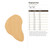 Elephant Ear Wood Cutout for Crafts, Unfinished Baltic Birch Craft Shape
