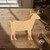 Goat 2 Wood Cutout - Unfinished Baltic Birch Craft Shape