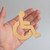Handicapsymbol Wood Cutout - Unfinished Baltic Birch Craft Shape
