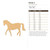 Horse 3 Wood Cutout - Unfinished Baltic Birch Craft Shape