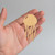 Jellyfish Wood Cutout - Unfinished Baltic Birch Craft Shape