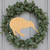 Kiwi Wood Cutout for Crafts, Unfinished Baltic Birch Craft Shape