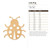 Lady Bug Wood Cutout - Unfinished Baltic Birch Craft Shape