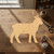Lamb Wood Cutout - Unfinished Baltic Birch Craft Shape