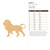 Lion 2 Wood Cutout for Crafts, Unfinished Baltic Birch Craft Shape