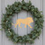 Unfinished Lion Wood Cutout for Door Hangers, Seasonal Decor and Paint Parties, Baltic Birch Craft Blank