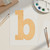Unfinished Lowercase Letter B Wood Cutout for Door Hangers, Seasonal Decor and Paint Parties, Baltic Birch Craft Blank
