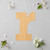 Lowercase Letter R Wood Cutout for Crafts, Unfinished Baltic Birch Craft Shape