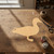 Mallard Duck Wood Cutout for Crafts, Unfinished Baltic Birch Craft Shape