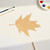 Unfinished Maple Leaf 2 Wood Cutout for Door Hangers, Seasonal Decor and Paint Parties, Baltic Birch Craft Blank