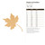 Unfinished Maple Leaf Outline Wood Cutout for Door Hangers, Seasonal Decor and Paint Parties, Baltic Birch Craft Blank