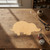Mole 2 Wood Cutout for Crafts, Unfinished Baltic Birch Craft Shape