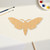 Unfinished Moth Wood Cutout - Unfinished Baltic Birch Craft Shape