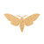 Moth Wood Cutout for Crafts, Unfinished Baltic Birch Craft Shape