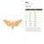 Moth Wood Cutout for Crafts, Unfinished Baltic Birch Craft Shape