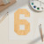 Unfinished Number 6 Wood Cutout for Door Hangers, Seasonal Decor and Paint Parties, Baltic Birch Craft Blank