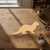 Unfinished Otter Wood Cutout - Unfinished Baltic Birch Craft Shape