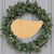 Unfinished Oyster Wood Cutout - Unfinished Baltic Birch Craft Shape