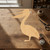Unfinished Pelican Wood Cutout for Door Hangers, Seasonal Decor and Paint Parties, Baltic Birch Craft Blank