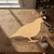 Unfinished Quail Wood Cutout - Unfinished Baltic Birch Craft Shape
