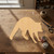 Unfinished Racoon 2 Wood Cutout - Unfinished Baltic Birch Craft Shape