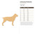 Unfinished Rottweiler Wood Cutout - Unfinished Baltic Birch Craft Shape