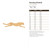 Unfinished Running Cheetah Wood Cutout for Door Hangers, Seasonal Decor and Paint Parties, Baltic Birch Craft Blank