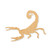 Unfinished Scorpion 2 Wood Cutout - Unfinished Baltic Birch Craft Shape