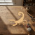 Unfinished Scorpion 2 Wood Cutout - Unfinished Baltic Birch Craft Shape