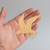 Unfinished Sea Gull 1 Wood Cutout - Unfinished Baltic Birch Craft Shape