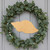 Unfinished Seashell Wood Cutout - Unfinished Baltic Birch Craft Shape