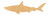 Unfinished Shark 2 Wood Cutout for Door Hangers, Seasonal Decor and Paint Parties, Baltic Birch Craft Blank