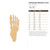 Unfinished Skeleton Foot Wood Cutout - Unfinished Baltic Birch Craft Shape