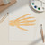 Unfinished Skeleton Hand Wood Cutout for Door Hangers, Seasonal Decor and Paint Parties, Baltic Birch Craft Blank