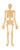 Unfinished Skeleton Wood Cutout for Door Hangers, Seasonal Decor and Paint Parties, Baltic Birch Craft Blank