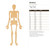 Unfinished Skeleton Wood Cutout for Door Hangers, Seasonal Decor and Paint Parties, Baltic Birch Craft Blank