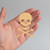 Unfinished Skullandcrossbones Wood Cutout for Door Hangers, Seasonal Decor and Paint Parties, Baltic Birch Craft Blank