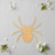 Unfinished Spider 5 Wood Cutout - Unfinished Baltic Birch Craft Shape