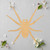 Unfinished Spider Wood Cutout for Door Hangers, Seasonal Decor and Paint Parties, Baltic Birch Craft Blank