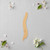Unfinished Spine Wood Cutout - Unfinished Baltic Birch Craft Shape