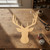 Unfinished Stag Wood Cutout - Unfinished Baltic Birch Craft Shape