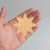 Unfinished Star Wood Cutout for Door Hangers, Seasonal Decor and Paint Parties, Baltic Birch Craft Blank