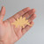 Unfinished Stegosaurus Wood Cutout for Door Hangers, Seasonal Decor and Paint Parties, Baltic Birch Craft Blank