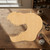 Unfinished T Rex Head Wood Cutout - Unfinished Baltic Birch Craft Shape